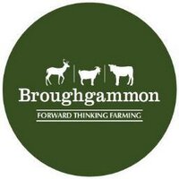 Broughgammon(@BroughgammonFrm) 's Twitter Profileg