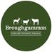 Broughgammon (@broughgammonfrm) Twitter profile photo Broughgammon (@broughgammonfrm) Twitter profile photo