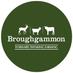 Broughgammon (@BroughgammonFrm) Twitter profile photo