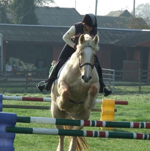 MelHattersley's profile picture. 