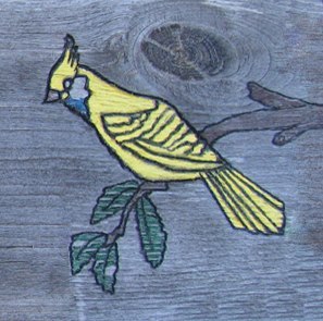 yellobirdsc's profile picture. Don't just wish you were here, be here in Myrtle Beach!