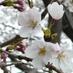 @ichi38964