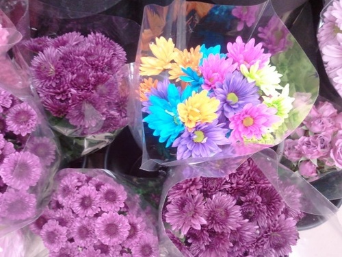 GigiMonet's profile picture. 