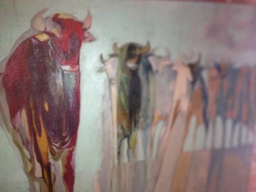 jkganadero's profile picture. 