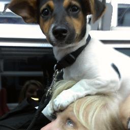 richmond2014's profile picture. It gets better and better..........