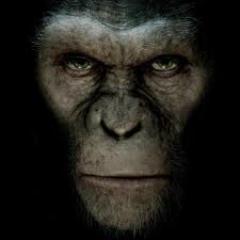 La vida es tan corta e impredecible,que a veces, es mejor sonreir hoy por que, mañana te puede faltar un DIENTE!! 100% LIBRE. Nada de Hoz, tampoco de Martillos