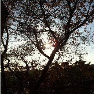 読書の国 名言 Dokusyonokuni Twitter