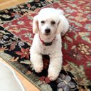 emily susan bain - @emilysusan13 - Twitter