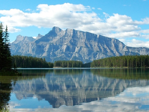 steverd12's profile picture. Loves to mow yards