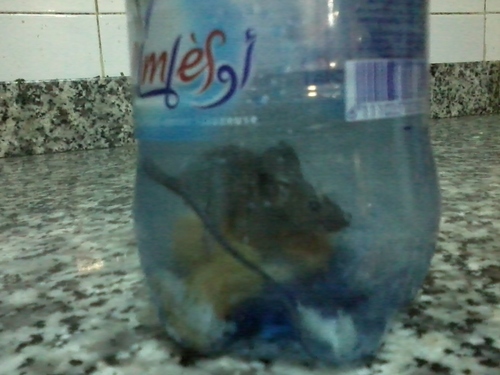 GsmsolutionM's profile picture. 