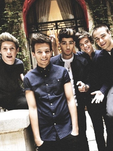 @Harry_Styles @Real_Liam_Payne @NiallOfficial @louis_tomlinsom @ZaynMalik_. Nossos ídolos.