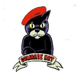Worker. Trade Unionist. Leftist. Activist. Dirty Rat Catcher. St Pauli fan. Kat. Looking for solidarity and strokes.