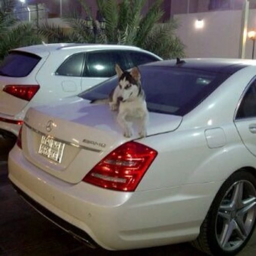 HhHqwert's profile picture. 