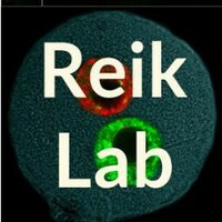 Reik Lab (@reiklab) 's Twitter Profile