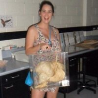 caris (@carisejones) 's Twitter Profile Photo caris (@carisejones) 's Twitter Profile Photo