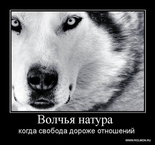 tirandiman28rus's profile picture. увлекаюсь футболом и м1