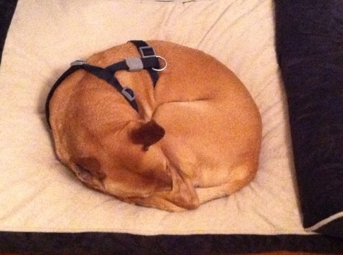 HeidiNLB's profile picture. 