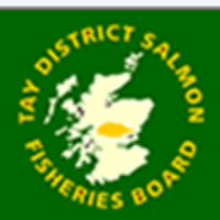 Tay Salmon Board (@taydsfb) 's Twitter Profile