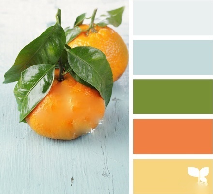 NutricionPROpy's profile picture. Todo lo que necesitas saber para tener un ESTILO DE VIDA SALUDABLE
Alimentación sana + Ejercicio = Cuerpo Saludable