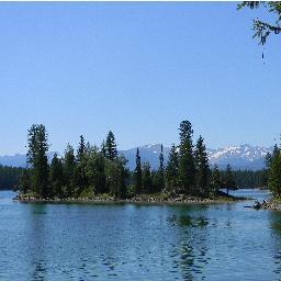 Redstatesage's profile picture. 