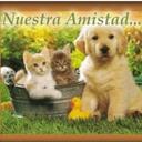 adela escobar - @adelaescobar4 - Twitter