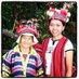 Dwiati N Rini (@dnrini) Twitter profile photo