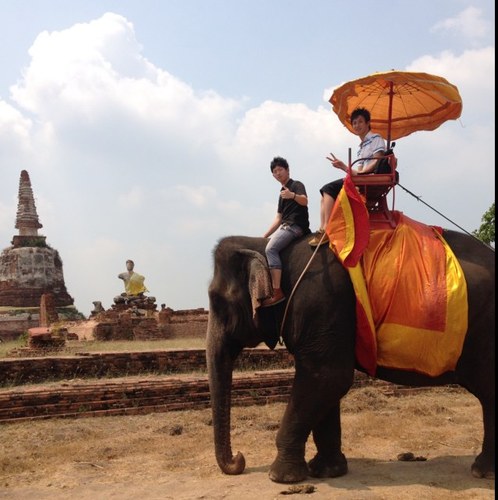 104pf's profile picture. ランニング(2020年〜)3km10:30、5km18:14、10km38:24、ハーフ1:27:05/Perfume/フロンターレ/高校野球(Y校ファン)/大学駅伝、大学野球(日大ファン)