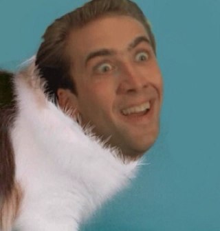 Bringing you the best Nicholas Cage edits out there. Some even created by me!