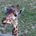 Michael Menz - @mmenz07 - Twitter