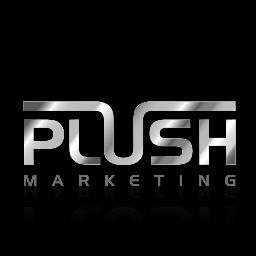 PlushMarketing's profile picture. Website Development and Marketing Solutions