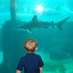 DaBevNer's profile picture. 