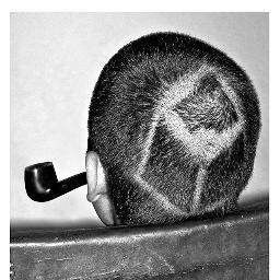 krowitna's profile picture. Todo problema es un asunto de redacción.