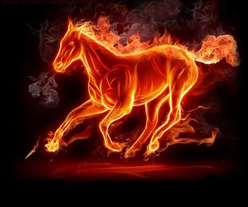 almasqari88's profile picture. 