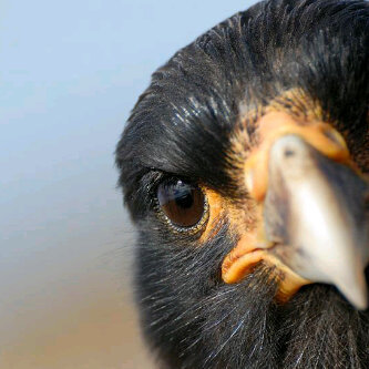 PIN:25D74247