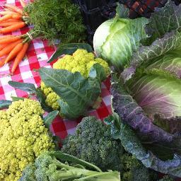 Fresh produce, meat, poultry, eggs, dairy. Artisans and Artisan Food. Austin: Sat 9-1. Barton Creek Square.