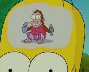 Biologo, deportista (a cuchillo) y poco mas