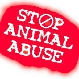 Dedicated to fighting for Animal Rights at Adelphi University!