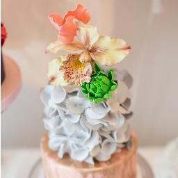 Cake Artist. Owl Enthusiast.