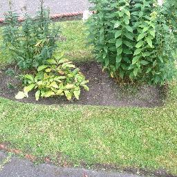 GardenningTips's profile picture. http://t.co/Qum4QiSDbp