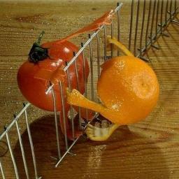 Estoy rota no pelada. Como mocos. Me chupo los pies. Quiero un unicornaranja.