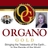 organo24's profile image