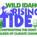 WildIdaho RisingTide (@wildidahort) Twitter profile photo