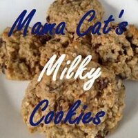 Mama Cat (@mamacatscookies) Twitter profile photo