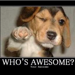 FlibJibbler's profile picture. 