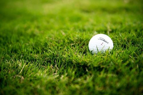 D5RebelsJrGolf's profile picture. Providing golf clinics and competitive experience to junior golfers in the upstate of South Carolina.