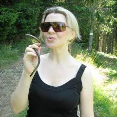 Passionate about life. Dare Devil. Love blogging and into my business of Network Marketing. Relax and Enjoy the Ride!