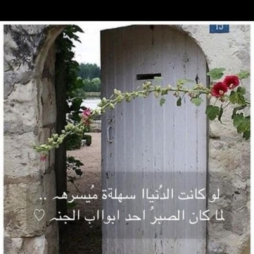 ما أضيق العيش لولا فسحة الأمل