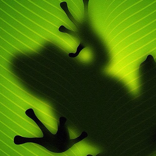 ColtonJoanne's profile picture. 