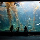 Tammy Leech - @Tamleech - Twitter