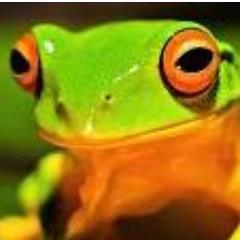 Let’s discus facts or feelings and try to be clear on what is what